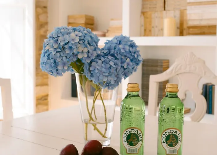 A Galeria Do San Ramon Vilalba