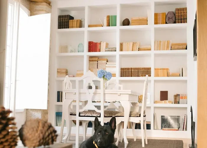 A Galeria Do San Ramon